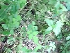Pissen und abspritzen im Wald