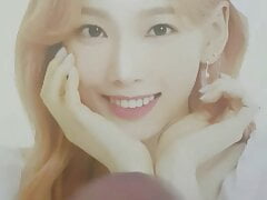 Taeyeon cumtribute