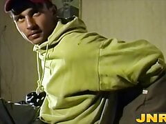 JNRC.com - A young gypsy