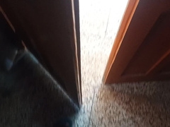 Romp in douche to have joy and getting off two