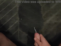 Urinating and Nutting on the Carpet