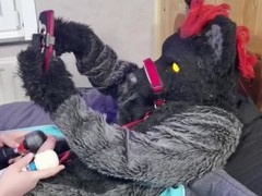 Male, leash, murrsuit