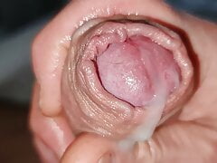Horny Morning Fun Cumshot Close-Up Morgenlatte abgesprizt