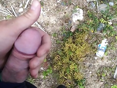 Cum at work in the forest