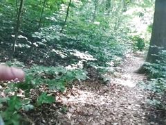 Quick Forest Trail Cum