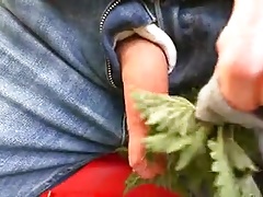 Nettles cock torture 2017