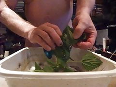 Slave J1306: Nettles for slaves ass