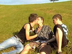 3 fellows bare in the area