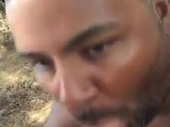 Bear sucking and eating 7