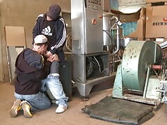Skater Fuck in the Factory