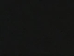 John Davenport - In Hot Pursuit