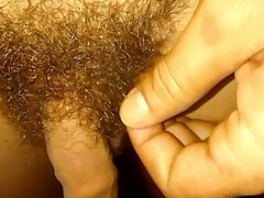 Political Pisser Solo