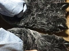 Cumming On Plush Wolf Feet