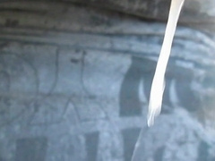 Lad Guzzles Amateur's Jizm Up Close