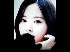 wjsn bona cum tribute