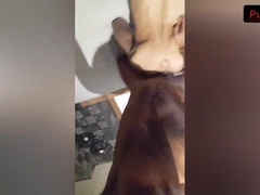 THE READER and its DEPOSIT two