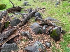 Young Long Cock Hiking Around Wilderness Completely Naked Pov Hd