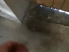 Petite branle du matin
