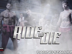 RagingStallion - Molten Bear Prisoner Wrecks Lawyer's Rear entrance