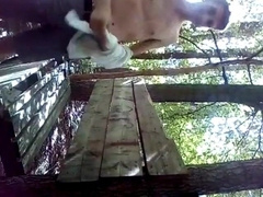 Outdoor Handjob for Horny Amateurs