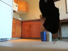 girlsy Ray in Satin Maids Dress and Black Fishnet Stockings