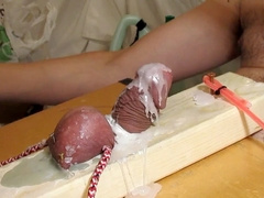 Fag, sadism & masochism, two big cocks