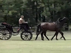 Allurement Of The Gypsies Vol. two