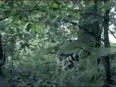 gaymainstream- shank 7