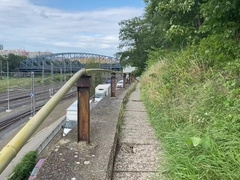Joy in the Prague woods