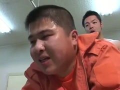 BULL - 480P_600K_199520141