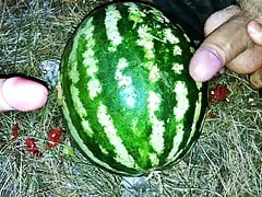 Fucking a WATERMELON with a dildo in the forest