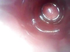 Homemade butt cam