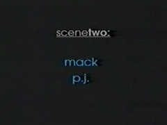 VINTAGE LEATHER BEARS