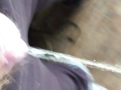 shed pee