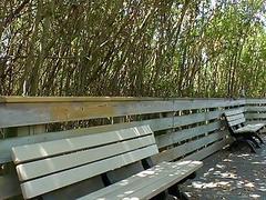 They met at the park and are already fucking