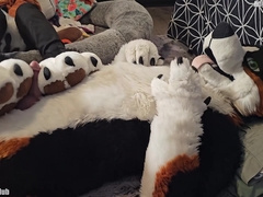 Pawslut Puppy Gets Back To Back Pawjobs With Massive 2nd Cumshot At The End