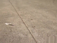 BDSM stud suspended and flogged