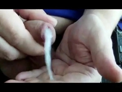 Precum dripping out of my cock