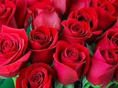 Curvy mature Desi Mazaa shows off her big ass in hot scenes