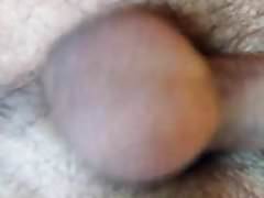 Clos Up Mexican Cock