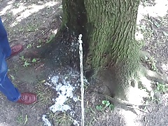 Two friends pissing together on a tree