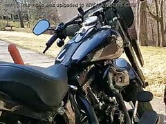 SHORT - TOY BICKER