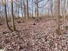 Found a stranger&rsquo;s Thong and String in the woods and covered them in my cum