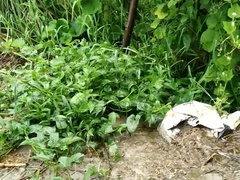 Village Getting Off in Outdoor_handjob_cumshotot