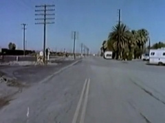 Vintage Classic Gay Movie 5