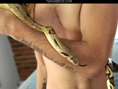 Vince Demerit and Hercules