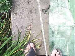 Garden piss