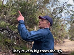 Ep 272. Stepbro's Sensuous Fumble