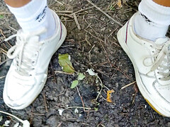 Sneakers socks, dirty shoes, gay sneakers socks