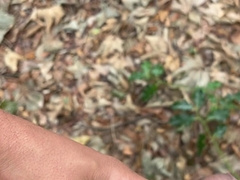 Cruising in London.I know what your father did last summer.